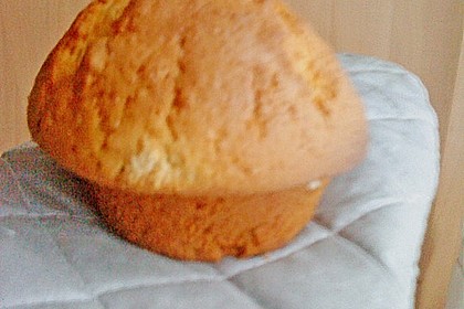 Muffins 120