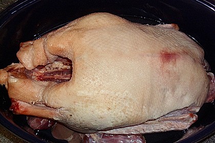 Gans ohne F&uuml;llung 1