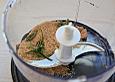 Sandkekse mit Rosmarin