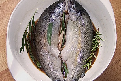 Beschwipste Forelle