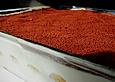 Tiramisu, das nur Komplimente erntet