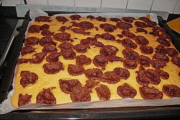 Vulkankuchen
