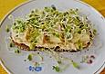 Apfel-Chilicreme-Sprossen Brot