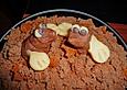 Maulwurfkuchen mit Quark, saurer Sahne und Sahne