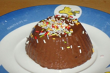 Gourmet-Schoko-Pudding selbstgemacht, sahnig und schokoladig 33