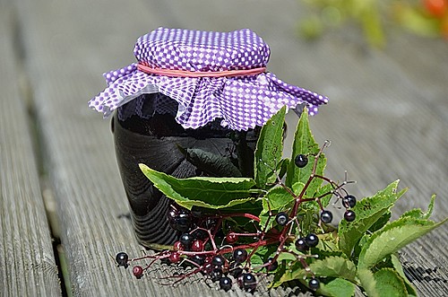 Holundermarmelade mit Apfel und Zwetschgen Rezept - Alle