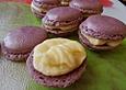 Pralinen: Wei&szlig;e Tr&uuml;ffel