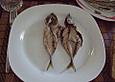 Pikante Sardinen