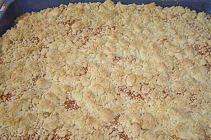 Hefe-Streuselkuchen mit Pudding und Sahne 1