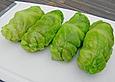 Spitzkohl-Rouladen in Tomatensauce