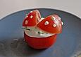Tomaten-Marienk&auml;fer