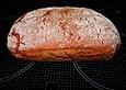 Berliner Landbrot