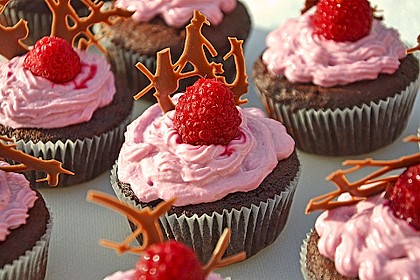 Schoko-küsst-Himbeer Cupcakes 1