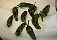 Pimientos de Padr&oacute;n
