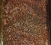 Gnadenbrot oder Weihnachtsschnitten (Bild)