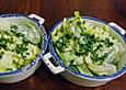 Marias Milchsalat