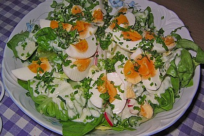 Saisonsalat mit fr&uuml;hlingsfrischen Kr&auml;utern