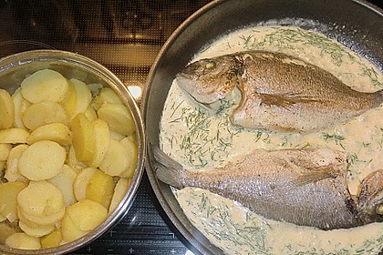 Doraden in Dillsauce mit Kartoffelscheiben 1