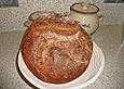 Hobbykos Mischbrot mit Traubenkernmehl und Roggensauerteig