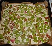 Rhabarber-Buttermilch-Quark Kuchen (Bild)