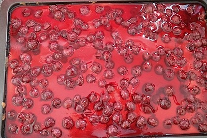Kirsch - Schmand - Blechkuchen 56