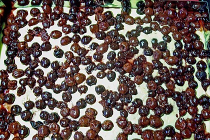 Kirsch - Schmand - Blechkuchen 168