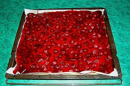 Kirsch - Schmand - Blechkuchen 72