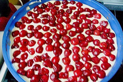 Kirsch - Schmand - Blechkuchen 151