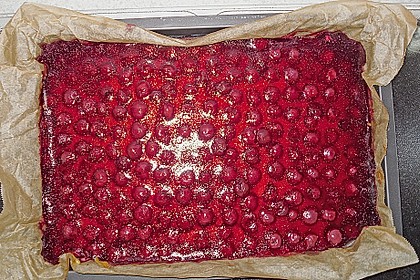 Kirsch - Schmand - Blechkuchen 111