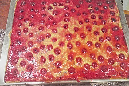 Kirsch - Schmand - Blechkuchen 116