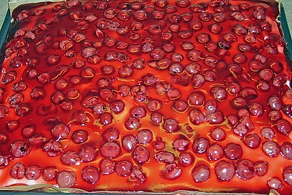 Kirsch - Schmand - Blechkuchen 114