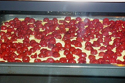 Kirsch - Schmand - Blechkuchen 142