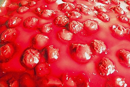 Kirsch - Schmand - Blechkuchen 164