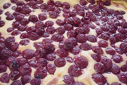 Kirsch - Schmand - Blechkuchen 135