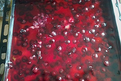 Kirsch - Schmand - Blechkuchen 131