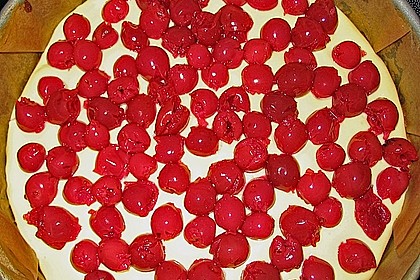 Kirsch - Schmand - Blechkuchen 153