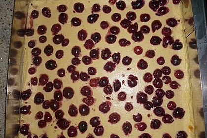 Kirsch - Schmand - Blechkuchen 167