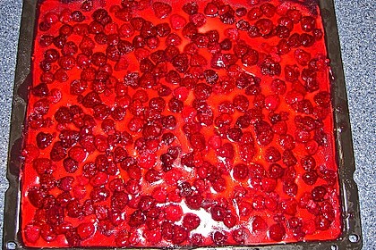 Kirsch - Schmand - Blechkuchen 49