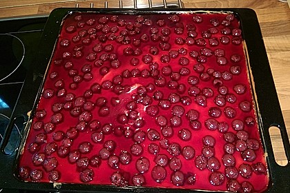 Kirsch - Schmand - Blechkuchen 98