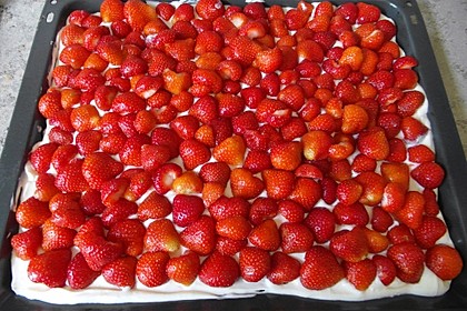 Kirsch - Schmand - Blechkuchen 104