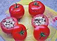 Mozzarella - Tomaten
