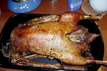 Gans gutb&uuml;rgerlich