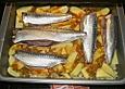 Makrelen aus dem Backofen (arabisch)