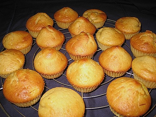 Orangen Muffins Mit Mohn — Rezepte Suchen