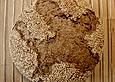 Sesambrot