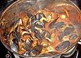 Miesmuscheln in Tomaten - Wei&szlig;weinsauce