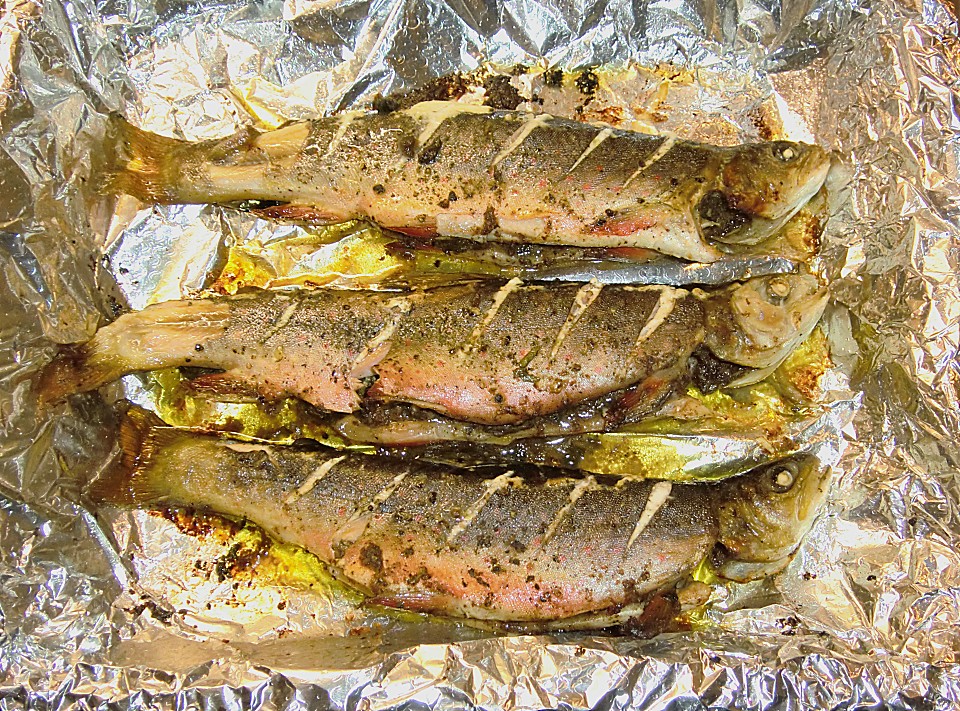 Saibling auf Gutsherren Art (Rezept mit Bild) von priese | Chefkoch.de