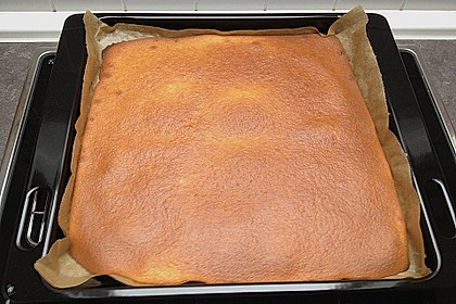 Buttermilchkuchen mit Kokos 1