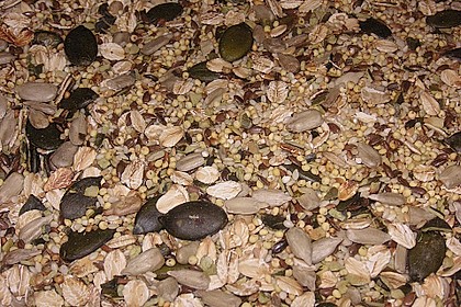 5 - Minuten - Brot 5
