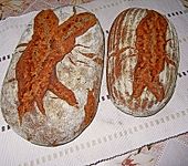 Urkruste (Bild)